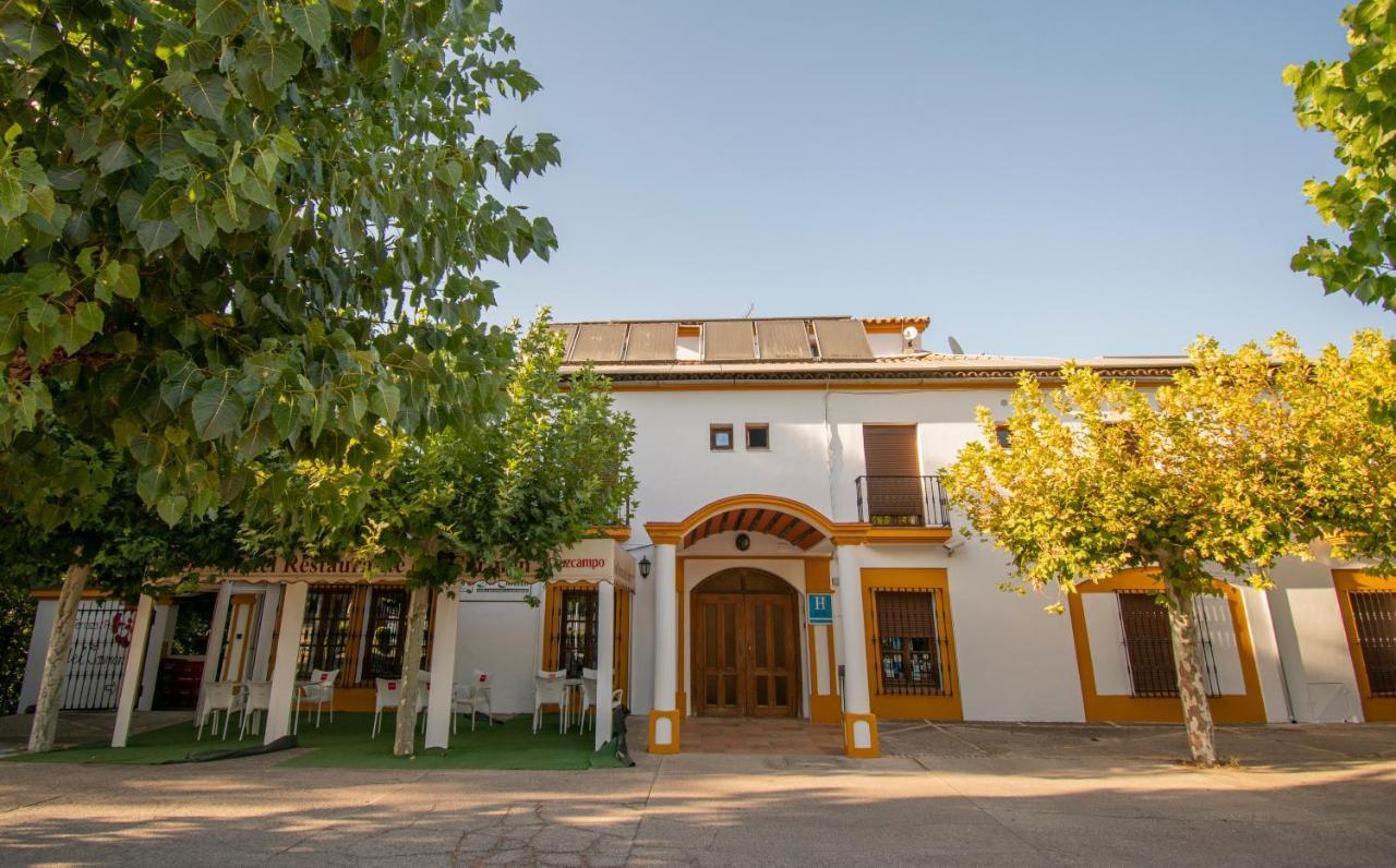 Hotel Del Carmen Prado Del Rey Εξωτερικό φωτογραφία